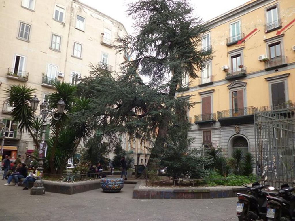 Apartment 25 Νάπολη Εξωτερικό φωτογραφία